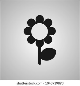 daisy icon symbol