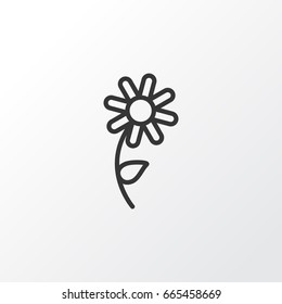 Daisy Icon Symbol. Premium Quality Isolated Sunflower Element In Trendy Style.