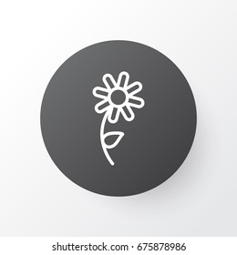 Daisy Icon Symbol. Premium Quality Isolated Sunflower Element In Trendy Style.