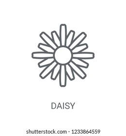 Daisy icon. Trendy Daisy logo concept on white background from Nature collection. Suitable for use on web apps, mobile apps and print media.