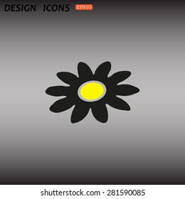 daisy. icon. vector design