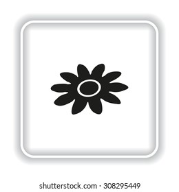 daisy. icon. vector design