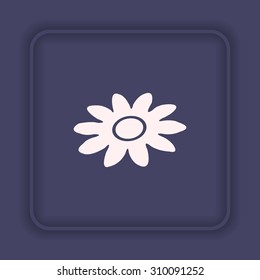 daisy. icon. vector design