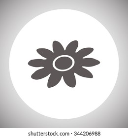 daisy. icon. vector design