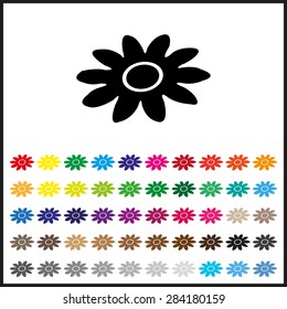 daisy. icon. vector design set of colored icons 