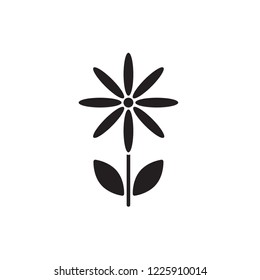daisy icon vector. flower glyph icon