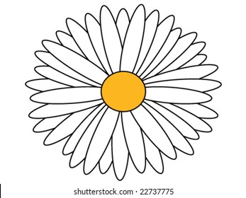 Daisy Isolated Stock Vector (Royalty Free) 22737775 | Shutterstock