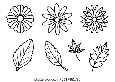 Daisy Leaf Line Art Simple Sketch for Botanical Illustration Art