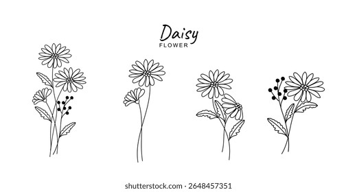 Daisy Line Art. Daisy outline Illustration. April Birth Month Flower. Daisy flower outline isolated on white. Hand painted line art botanical illustration.