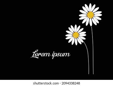 daisy lorem ipsum vector design art