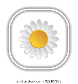 daisy.  Modern design flat style icon