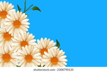 Daisy on blue background. Copy space, dsign for summer and spring time. Top view.