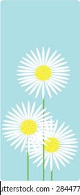 Daisy on blue sky