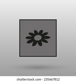 daisy on a gray background with shadow. vector