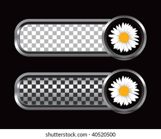 daisy on silver and black checkered banners