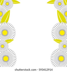 Daisy on white background. Vector illustration.