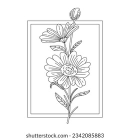 Daisy outline sketch. Daisy Chamomile line art. hand drawn daisy flower background. vector illustration. daisy illustration. Cute hand drawing flower plant. daisies isolated on white background.