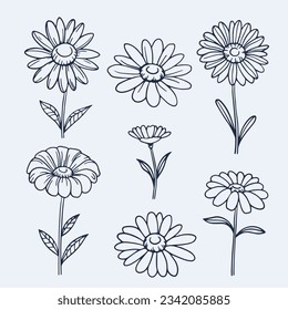 Daisy outline sketch. Daisy Chamomile line art. hand drawn daisy flower background. vector illustration. daisy illustration. Cute hand drawing flower plant. daisies isolated on white background.