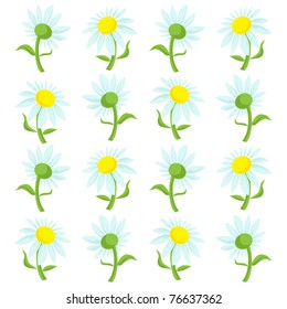 daisy pattern