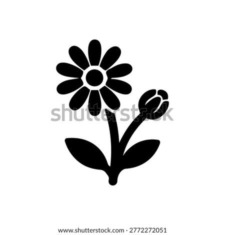 Daisy Plant Icon Containing daisy, plant, bloom, and floral icon. Solid icon.