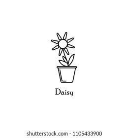 daisy in pot outline icon. Element of flower icon for mobile concept and web apps. Thin line daisy in pot outline icon can be used for web and mobile. Premium icon on white background