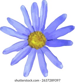 daisy purple and blooming  design14