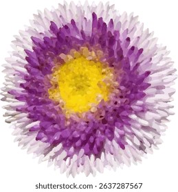 daisy purple and blooming  design30