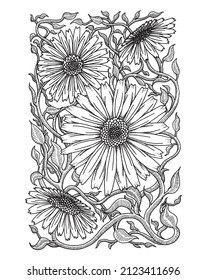 Daisy rectangle Floral, Hand Drawn Daisy Illustration