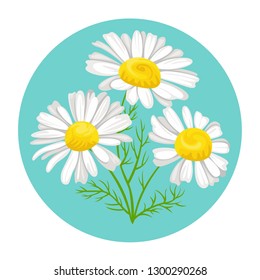 Daisy round icon. Vector illustration of bouquet of flowers in cartoon flat style.