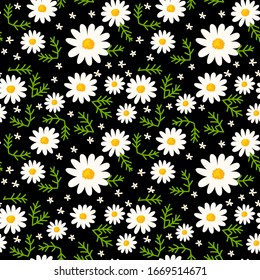 Daisy seamless pattern on black background. Floral ditsy print with small white flowers and green leaves. Chamomile trend design great for fashion fabric, trend textile and wallpaper. Vector