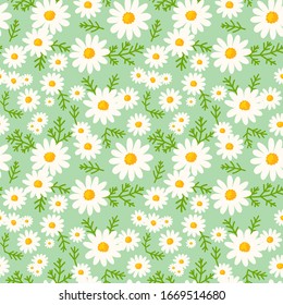 Daisy seamless pattern on fresh mint background. Floral ditsy print with small white flowers and leaves. Chamomile herbal design great for fashion fabric, kitchen textile and wallpaper. Vector