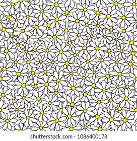 Daisy seamless vector pattern. Chamomile hand drawn background.
