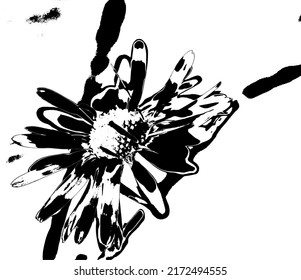 
daisy silhouette photo vector work