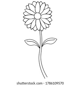 Daisy. Sketch. Vector illustration. Outline on isolated white background. Doodle style. Coloring book for children. Summer flower with stem and leaves. A perennial plant from the Asteraceae family. 