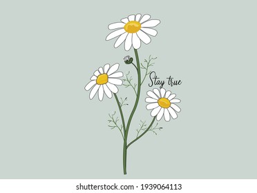 daisy spring dreamer butterflies and daisies positive quote flower design margarita 
mariposa
stationery,mug,t shirt,phone case fashion slogan  style spring summer sticker 