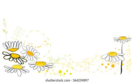 Daisy spring flowers background. Floral abstract background. Vector illustration