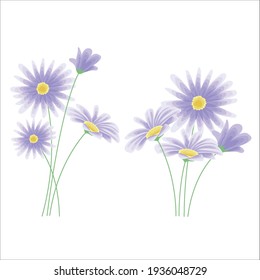 
Daisy and its stalks bouquets