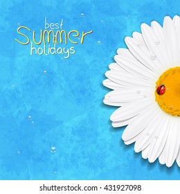 Daisy summer flower. Chamomile. Best Summer holidays. Vector Illustration