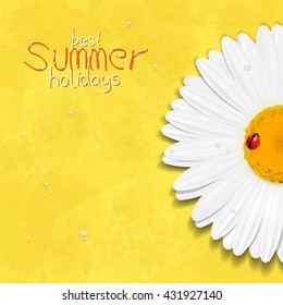 Daisy summer flower. Chamomile. Best Summer holidays. Vector Illustration