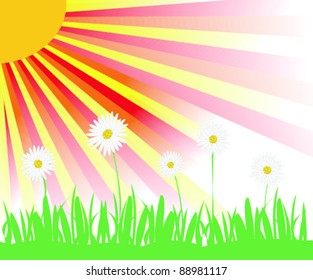 daisy and the sun. uncomplicated vector illustration