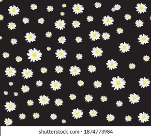 Daisy template black and white, background