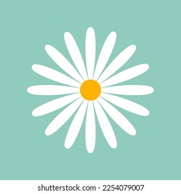 Daisy with thin petals on mint background vector illustration. Cartoon drawing of white camomile or chamomile for decoration or pattern design. Blossom, spring flowers, summer, nature concept