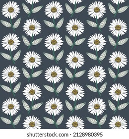 Daisy vector flower pattern. Elegant seamless pattern with stylish flowers. White floral pattern on black background.
