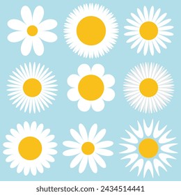 daisy, vector, icon, chamomile, flower, camomile, cartoon, illustration, white, floral, background, vintage, colorful, design, set, wheel, retro, summer, baby, heart, nature, spring, love, concept, le