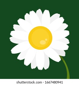 Daisy vector illustration. Chamomile icon. Flat design.