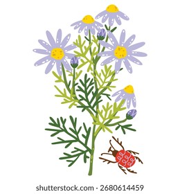 Daisy Vector Illustration. Flat Minimal Design. Editable Illustration for Web, Mobile, Print