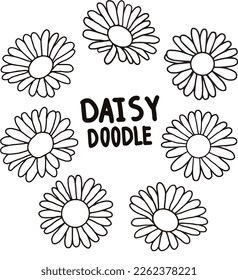 Daisy vector illustration. Daisy flowers on the white background. Daisy doodle.