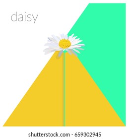 daisy vector illustration. geometric modern flower.