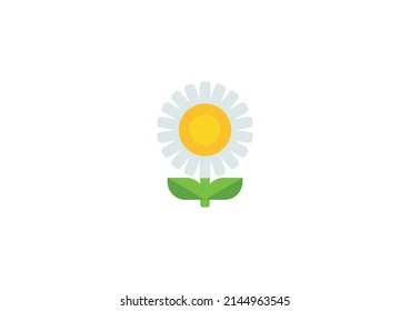 Daisy Vector Isolated Emoticon. Daisy Icon