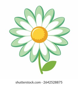 Vetor Daisy no plano de fundo branco